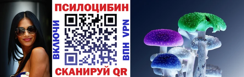 Псилоцибиновые грибы MAGIC MUSHROOMS что такое blacksprut Кондрово